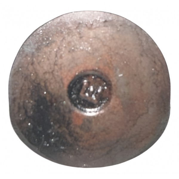 Válvula Do Cabeçote Da Triron 2.4